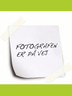Leder Hans-Henrik